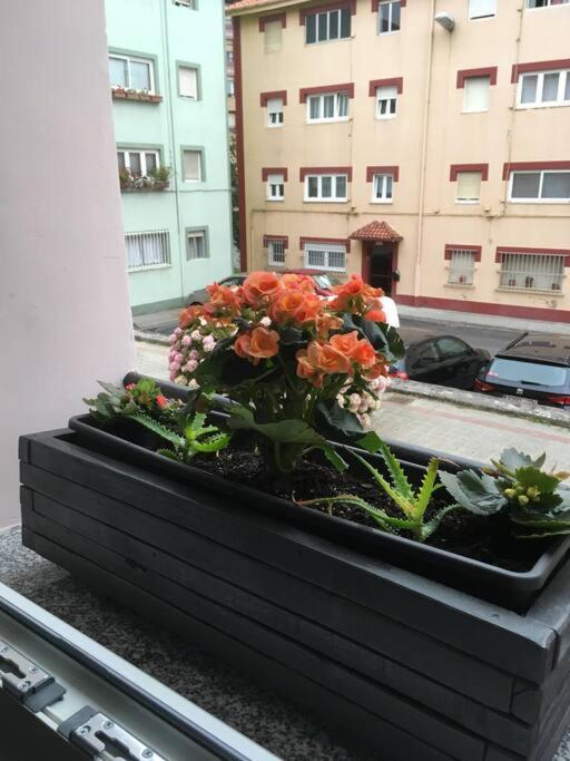 Davila Park'S Apartment Wifi سانتاندر المظهر الخارجي الصورة