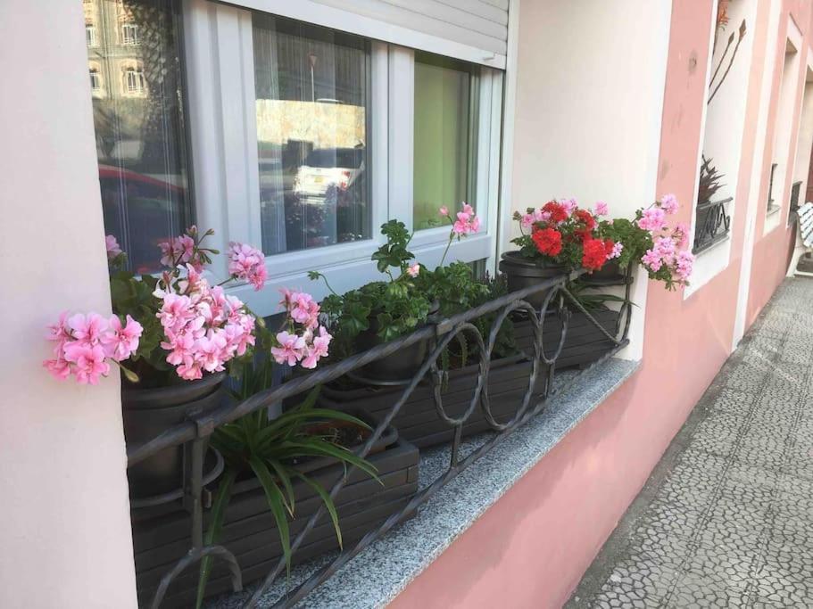 Davila Park'S Apartment Wifi سانتاندر المظهر الخارجي الصورة